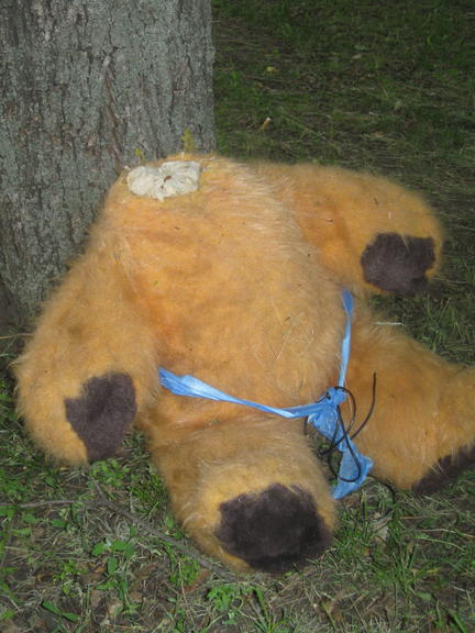 шутливое убийство - в дендропарке нашли обезглавленного медведя - изображение 2