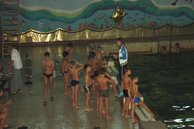 в бассейне «дельфин» соревновались самые маленькие пловцы - изображение 1