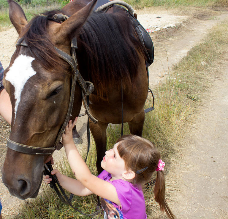 архив газеты «нове місто тв»: иппотерапия в нашем городе. общение с лошадьми помогает лечить детей - изображение 1