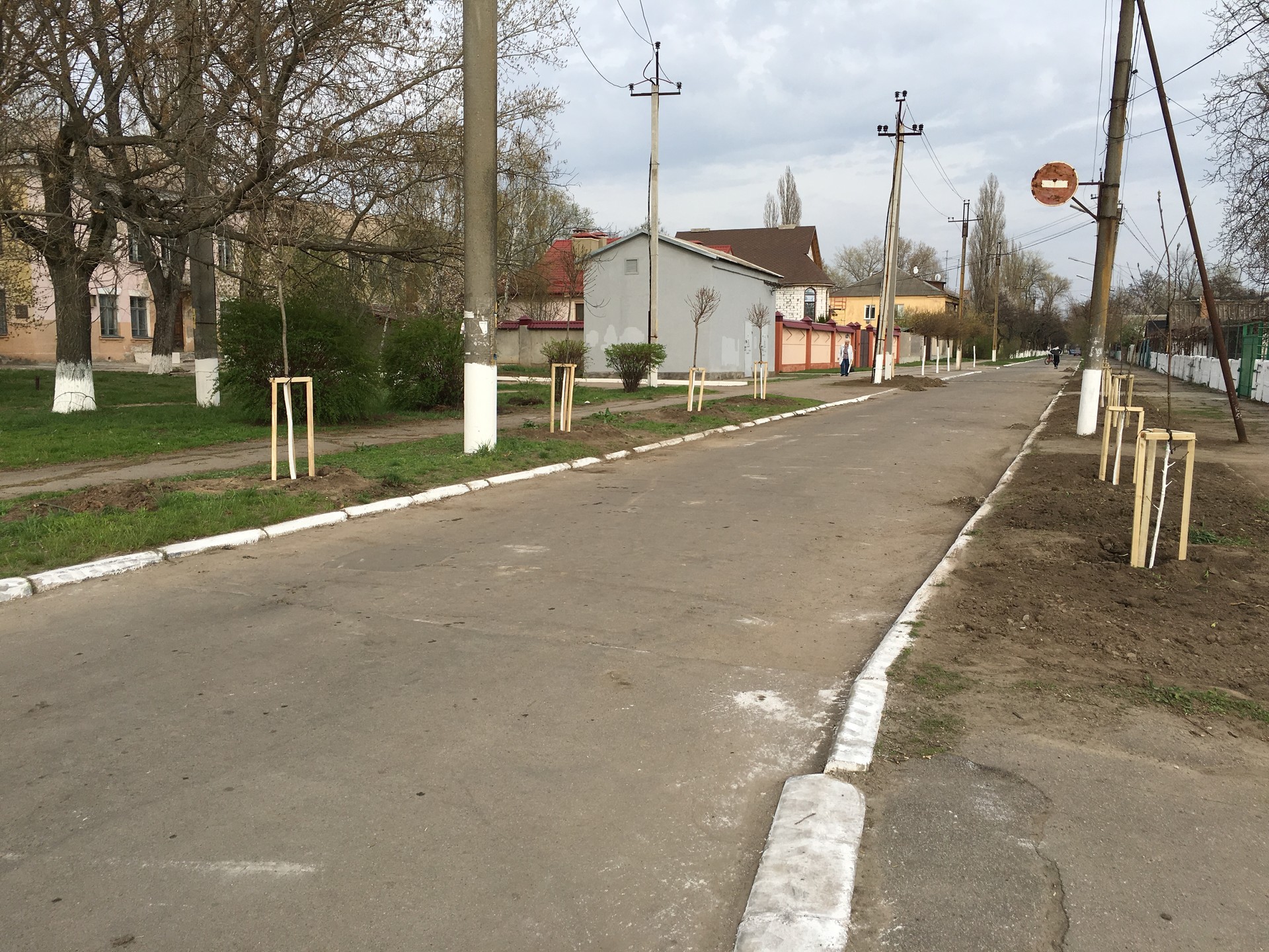 посадка деревьев в городе - изображение 9