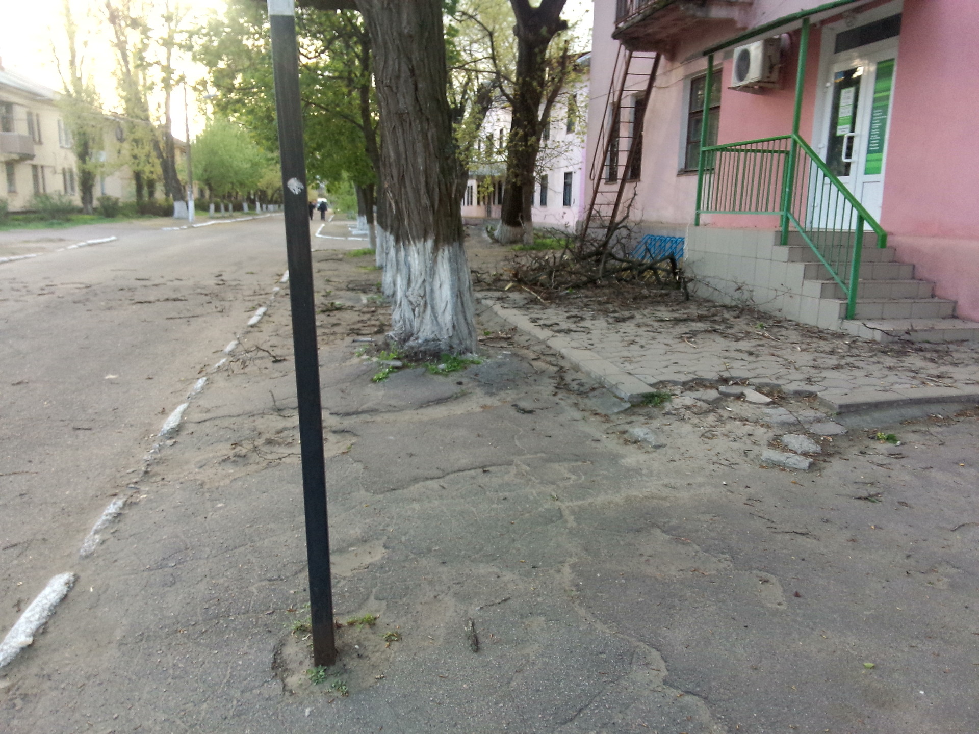 возле приватбанка упало дерево! - изображение 1