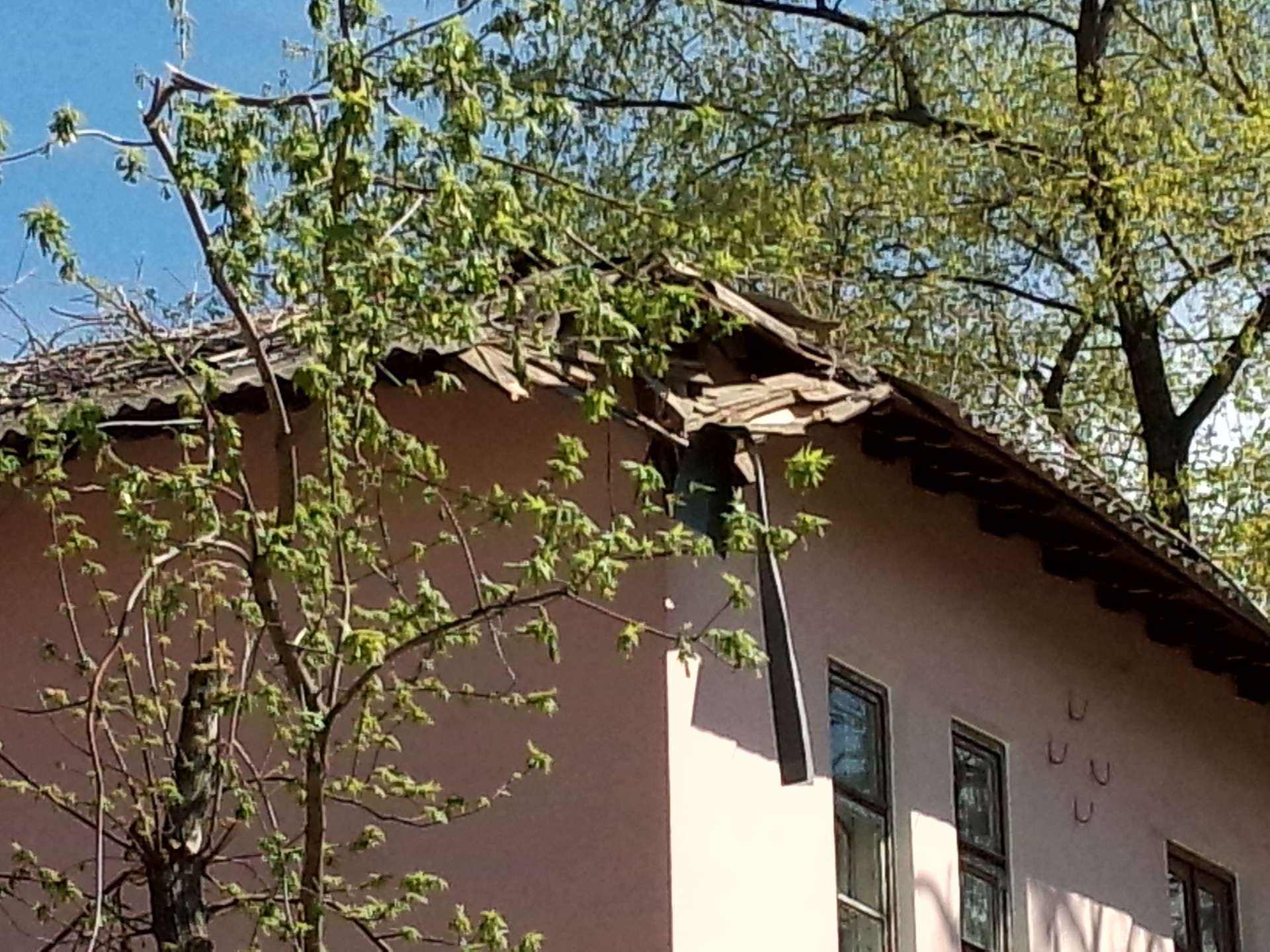 упавшее после вчерашнего урагана дерево уже спилили - изображение 1