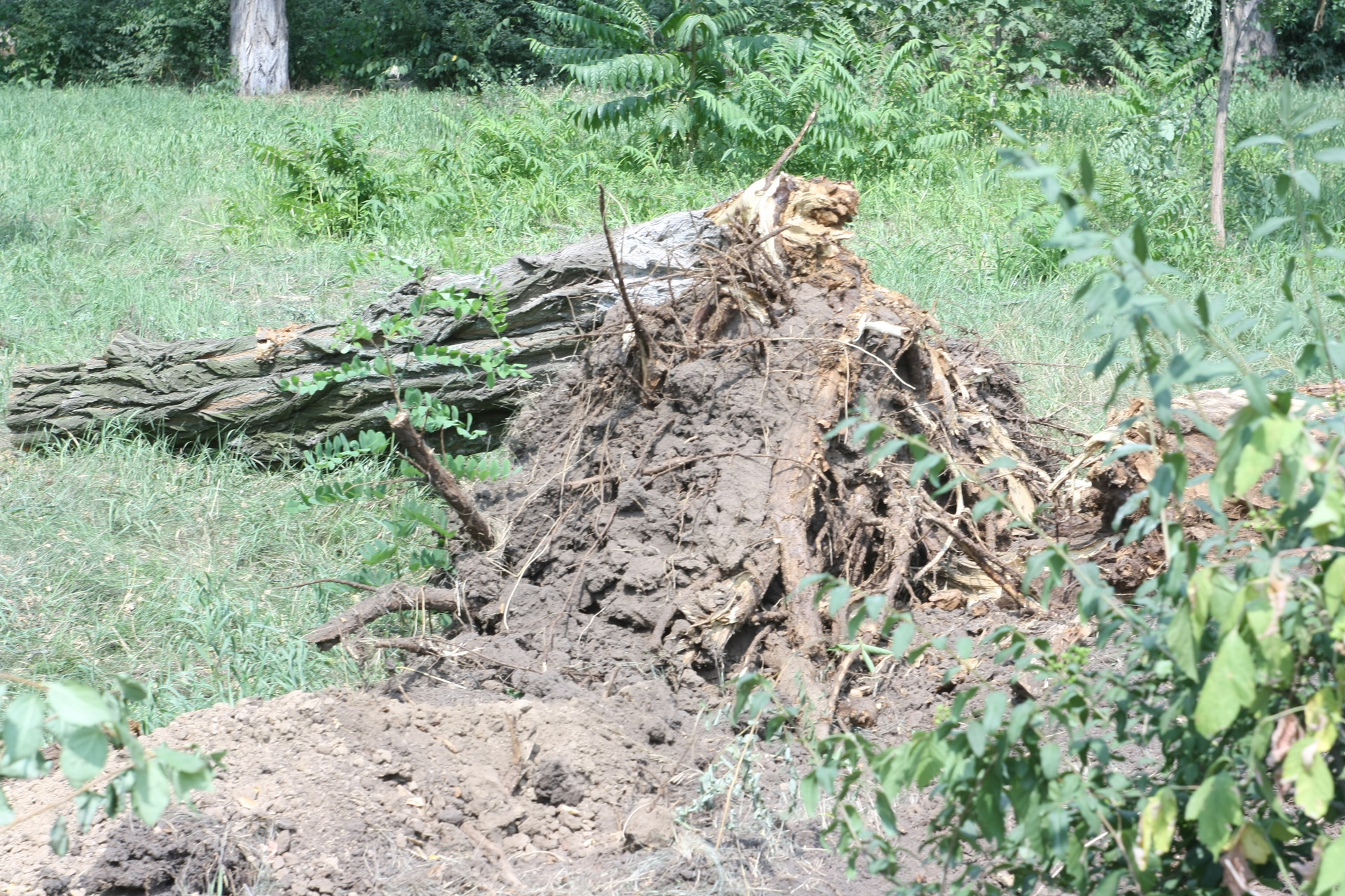 ремонт улицы центральная и парка мозолевского (20 фото) - изображение 4