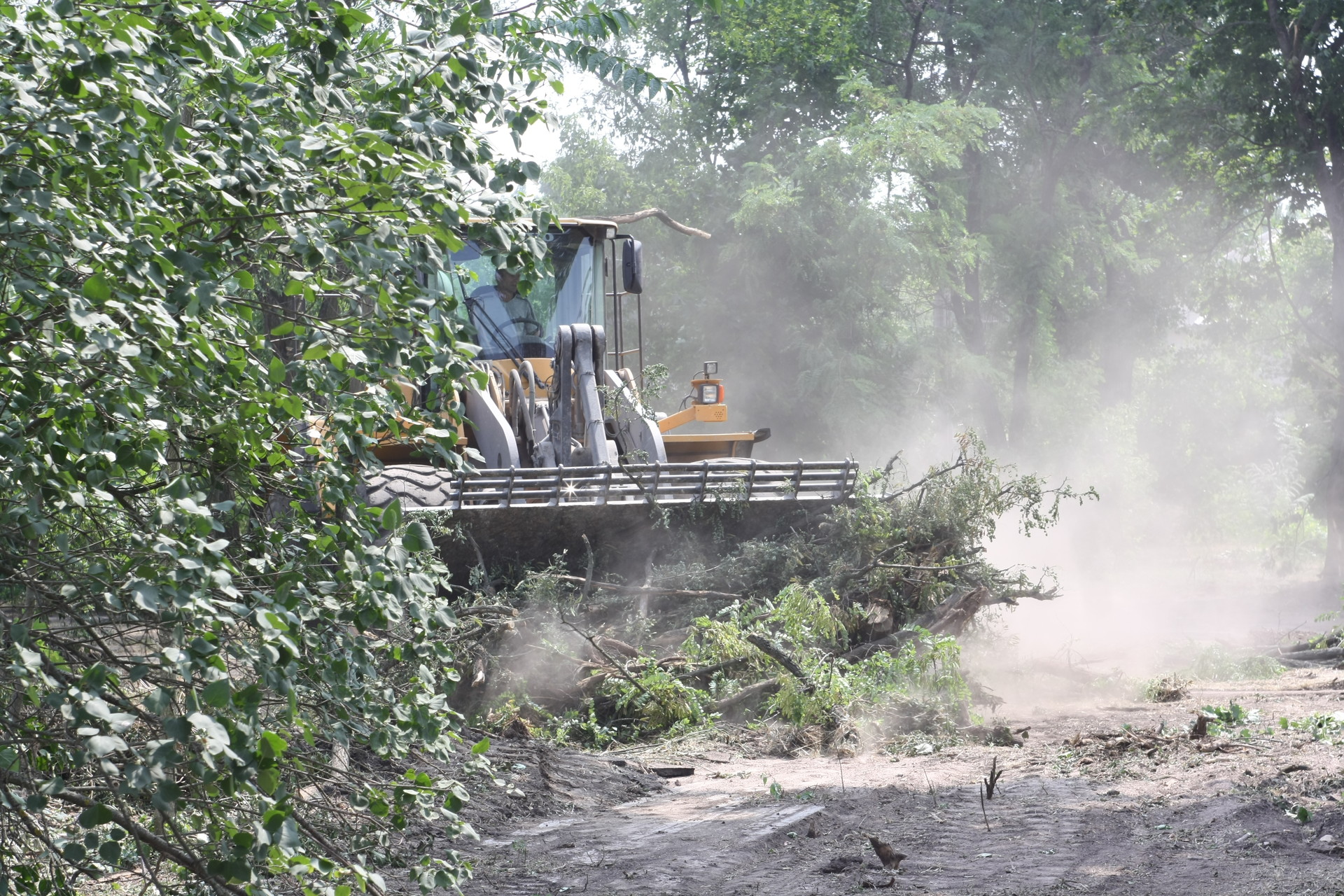 ремонт улицы центральная и парка мозолевского (20 фото) - изображение 5