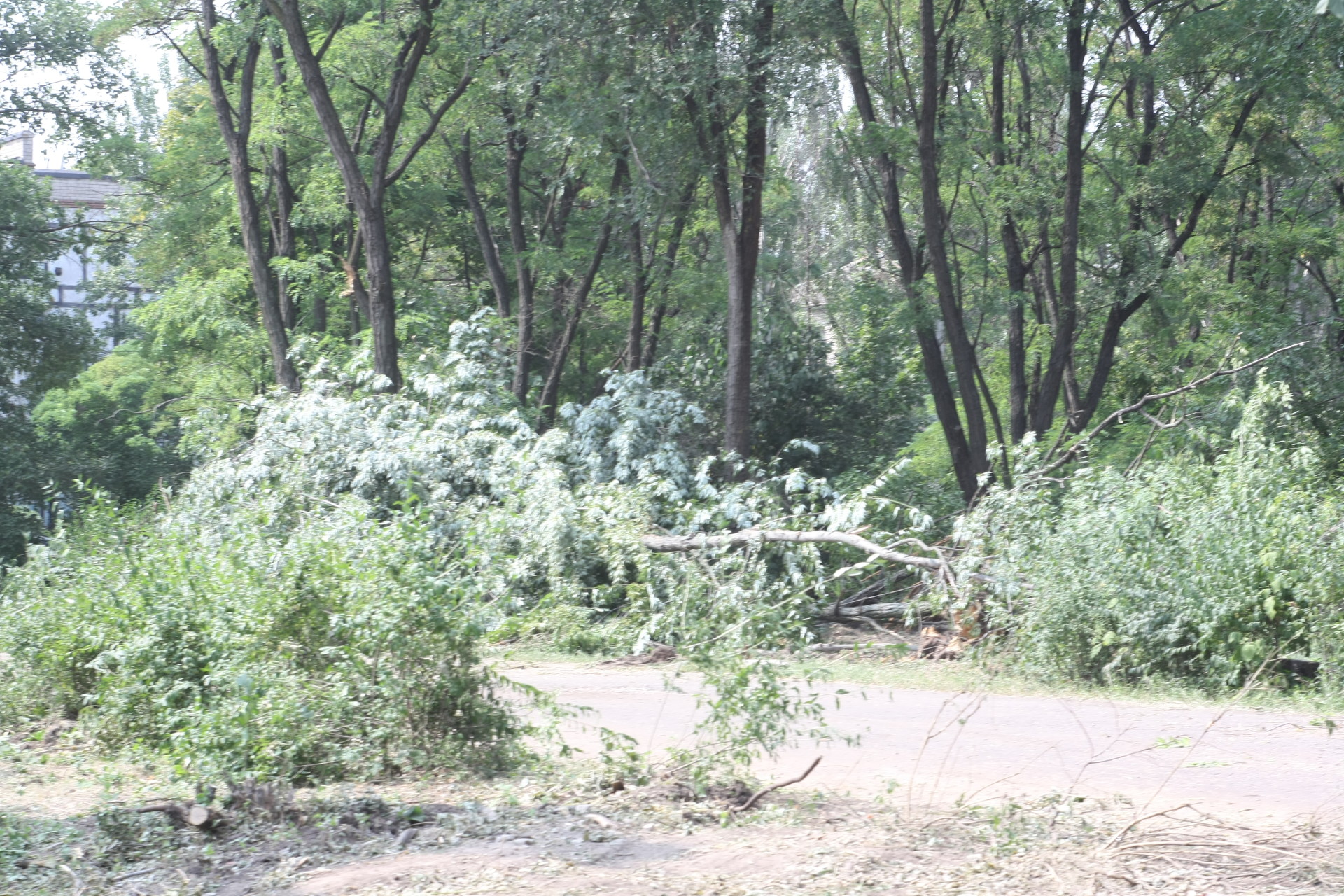 ремонт улицы центральная и парка мозолевского (20 фото) - изображение 6