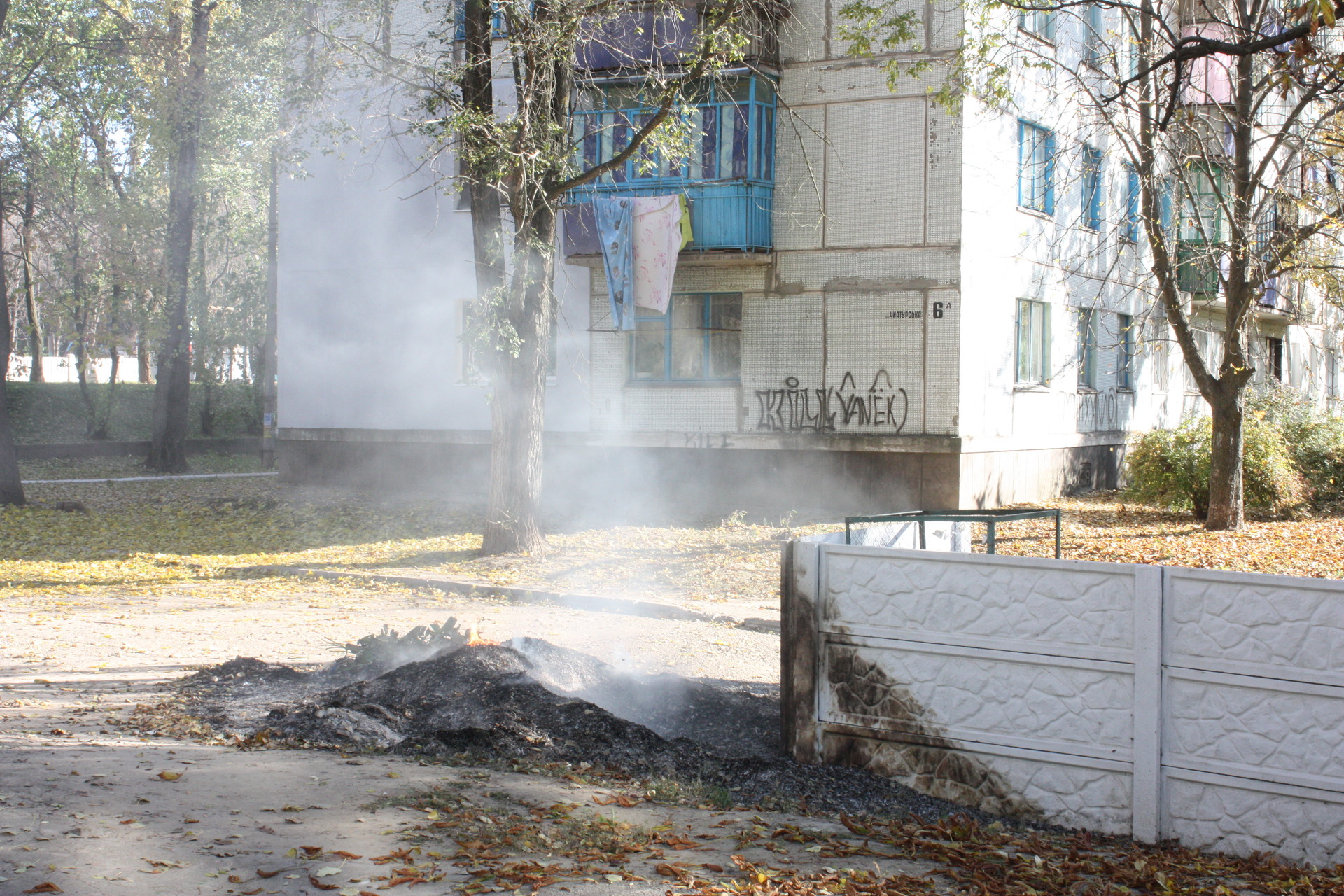 в городе снова жгут листву - изображение 1 в городе снова жгут листву - изображение 1