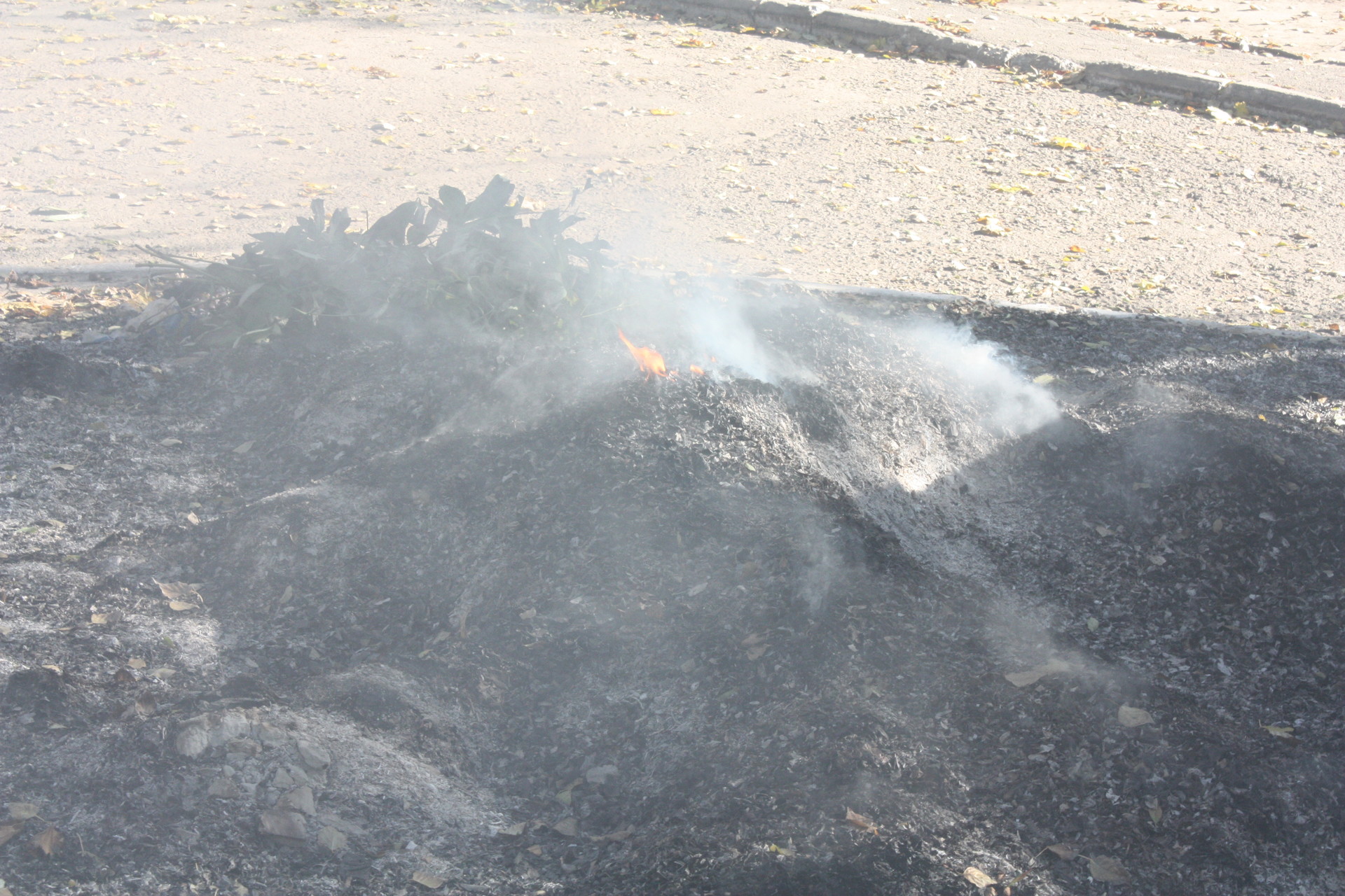 в городе снова жгут листву - изображение 3 в городе снова жгут листву - изображение 3