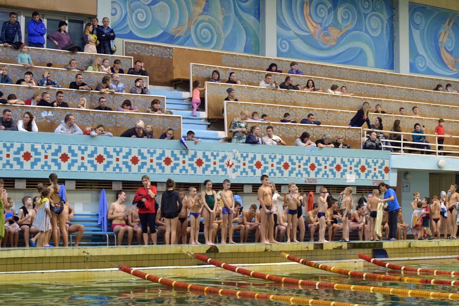 «дельфін» запрошує - изображение 1 «дельфін» запрошує - изображение 1