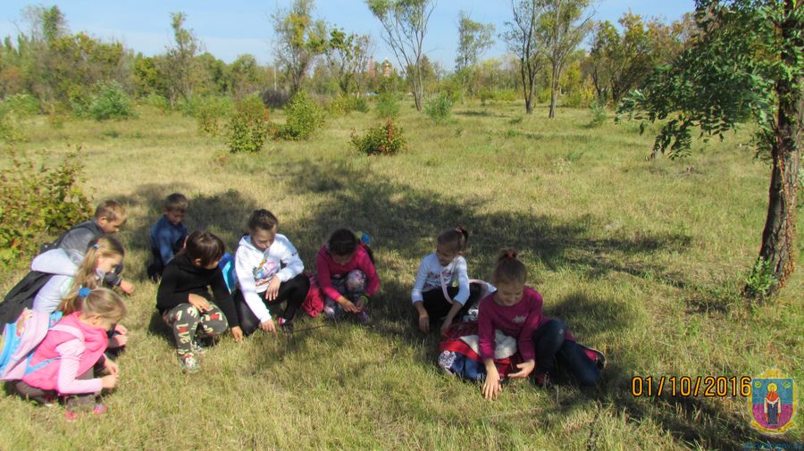 юні дослідники природи отримали заслужені винагороди - изображение 2 юні дослідники природи отримали заслужені винагороди - изображение 2