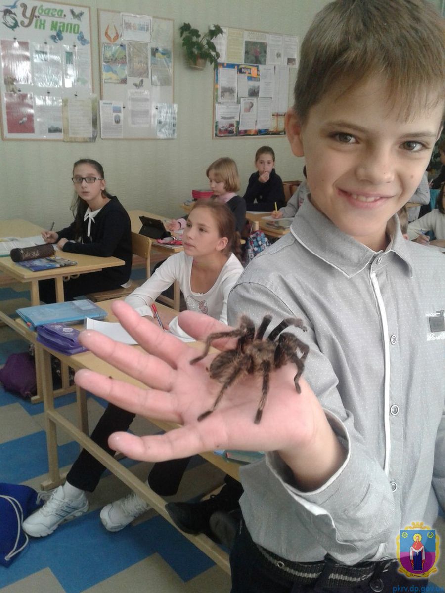 «учитель року – 2017» у номінації «біологія» – з ліцею - изображение 1 «учитель року – 2017» у номінації «біологія» – з ліцею - изображение 1