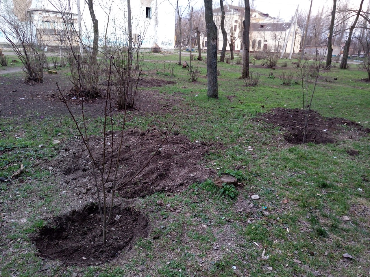 от читателей в газету: «спасибо всем, кто не дает городу превратиться в пустыню! - изображение 6