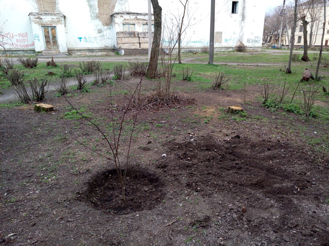 от читателей в газету: «спасибо всем, кто не дает городу превратиться в пустыню! - изображение 5