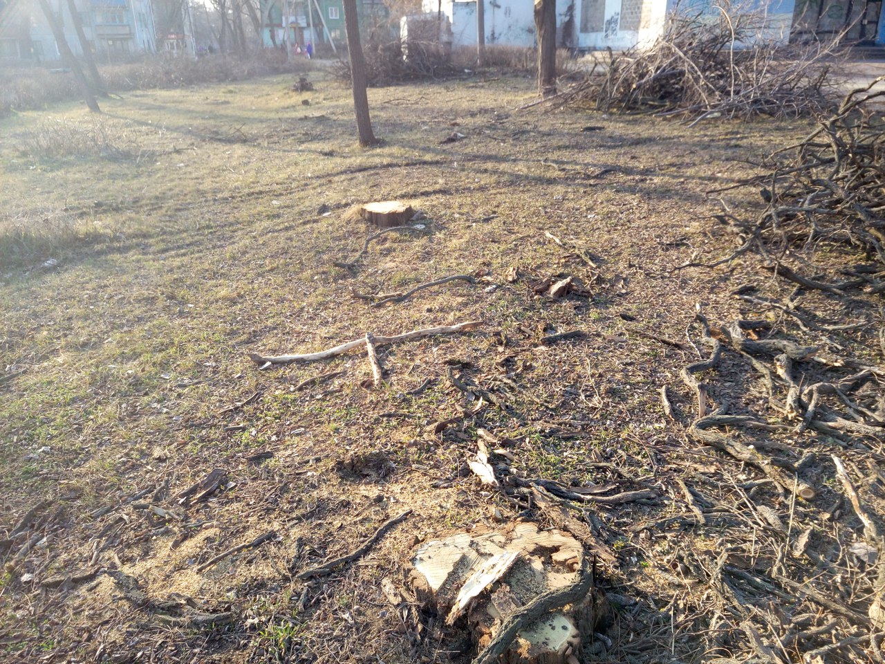 от читателей в газету: «спасибо всем, кто не дает городу превратиться в пустыню! - изображение 2