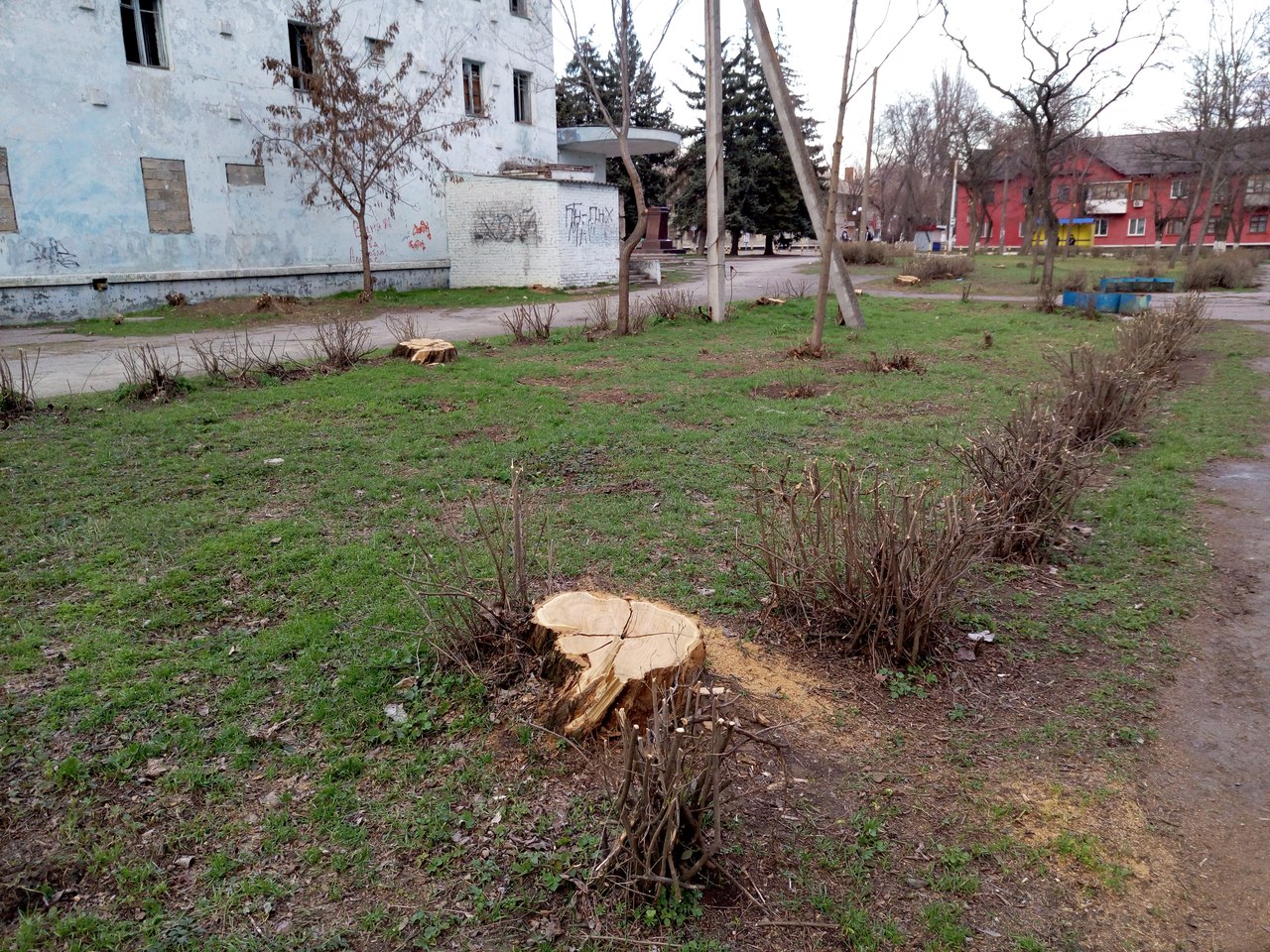 от читателей в газету: «спасибо всем, кто не дает городу превратиться в пустыню! - изображение 3