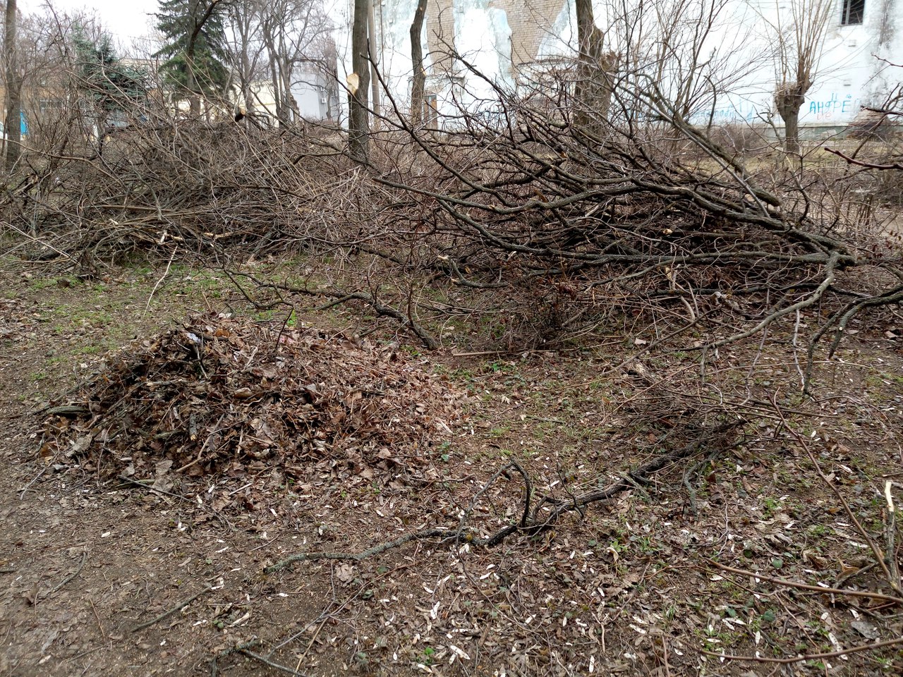 от читателей в газету: «спасибо всем, кто не дает городу превратиться в пустыню! - изображение 1