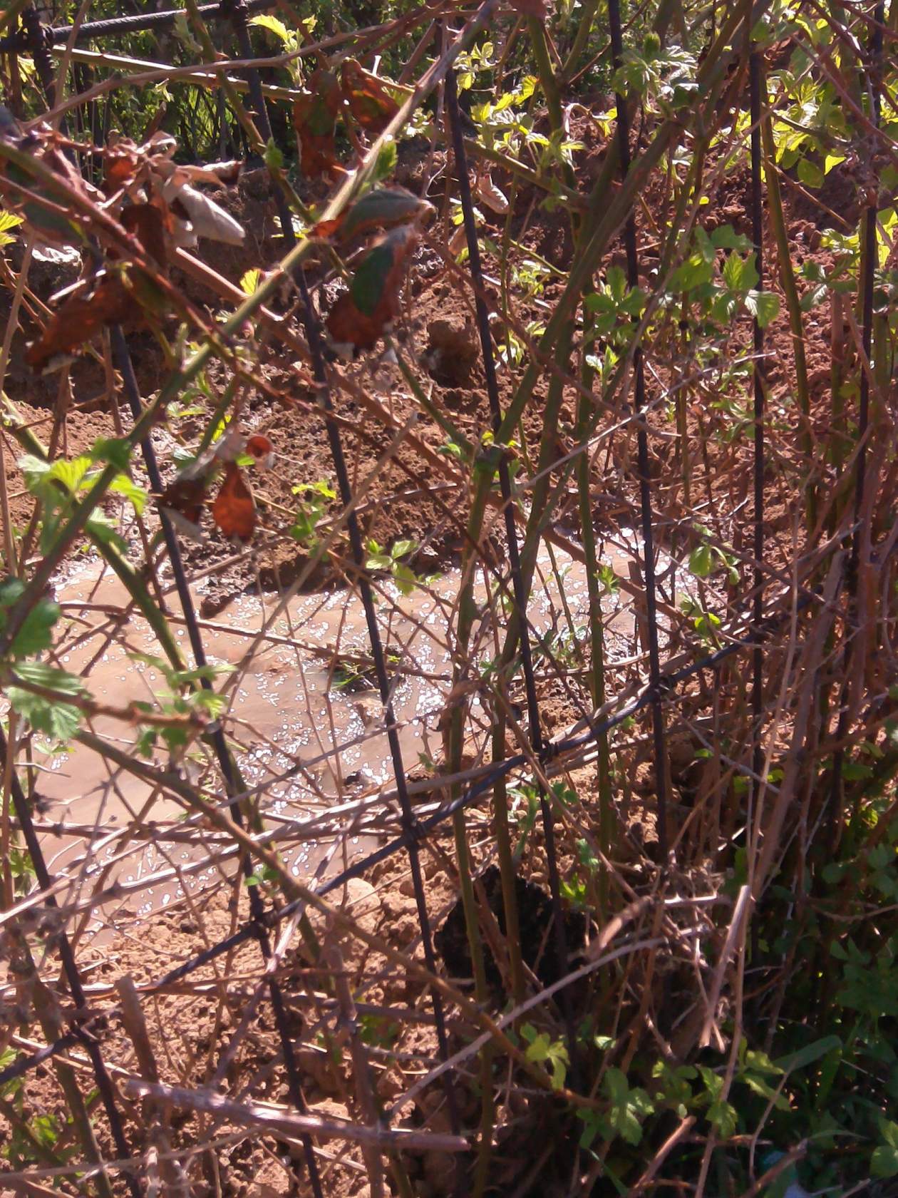 письма читателей: безобразие в разгар огородного сезона... - изображение 3