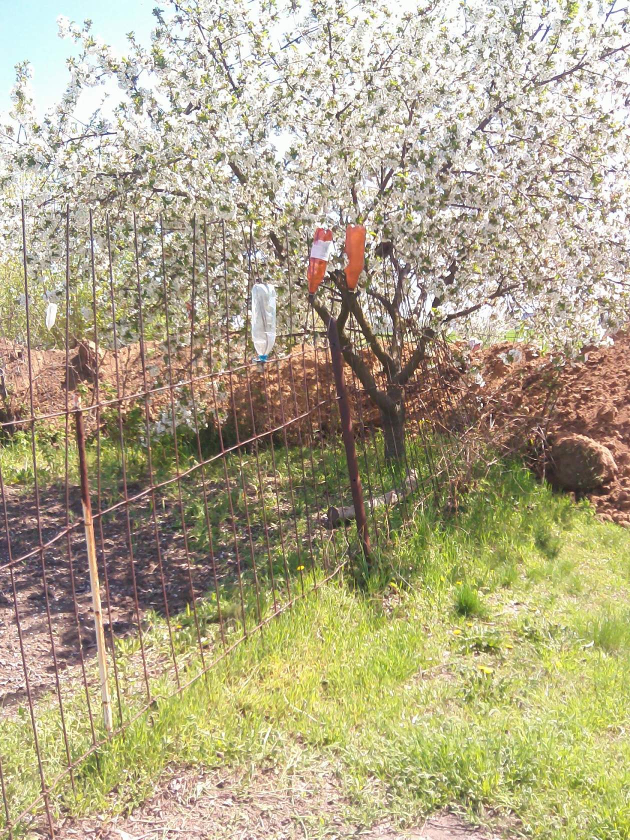 письма читателей: безобразие в разгар огородного сезона... - изображение 5