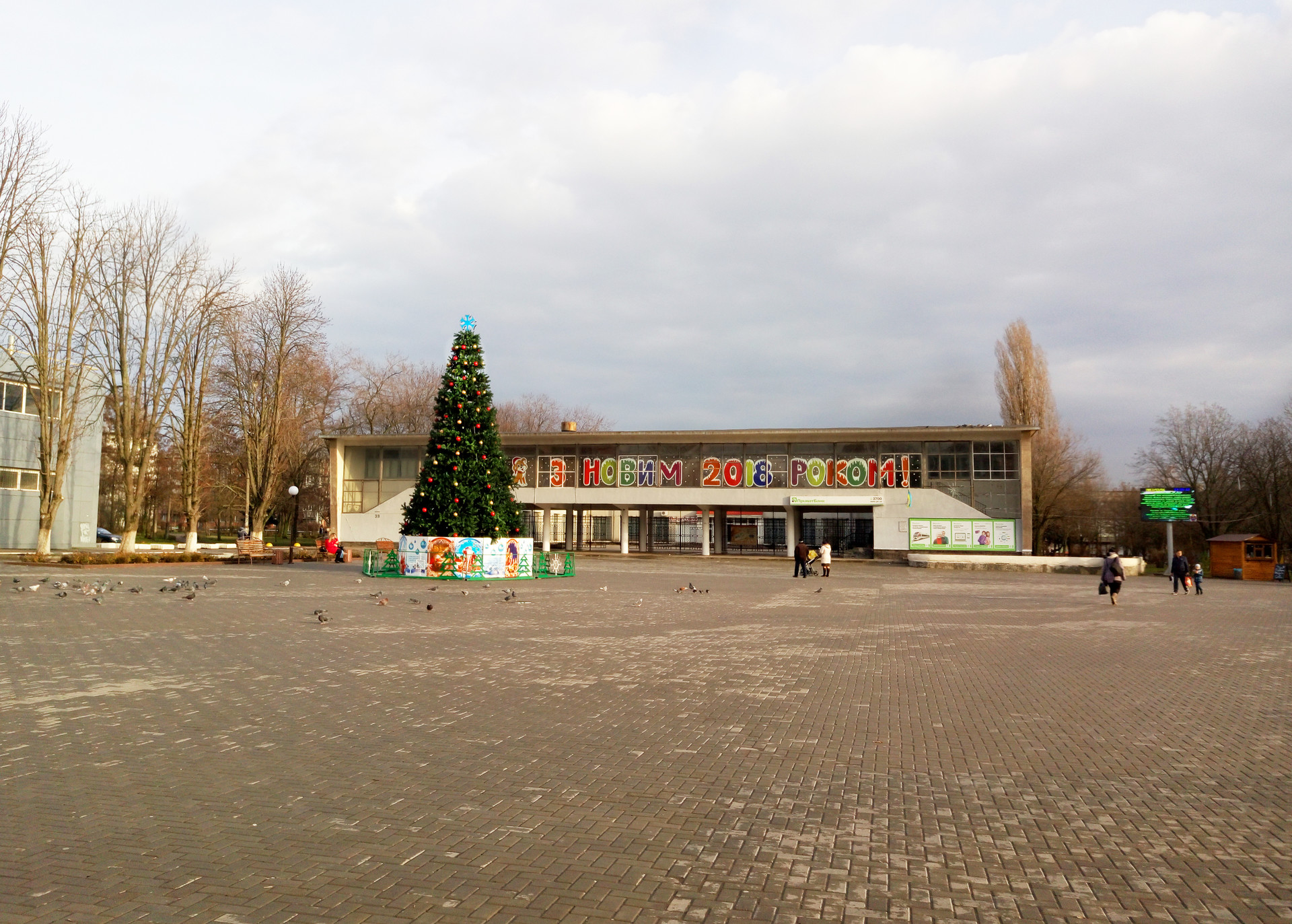 письма читателей: голуби на центральной площади (фото, видео) - изображение 2