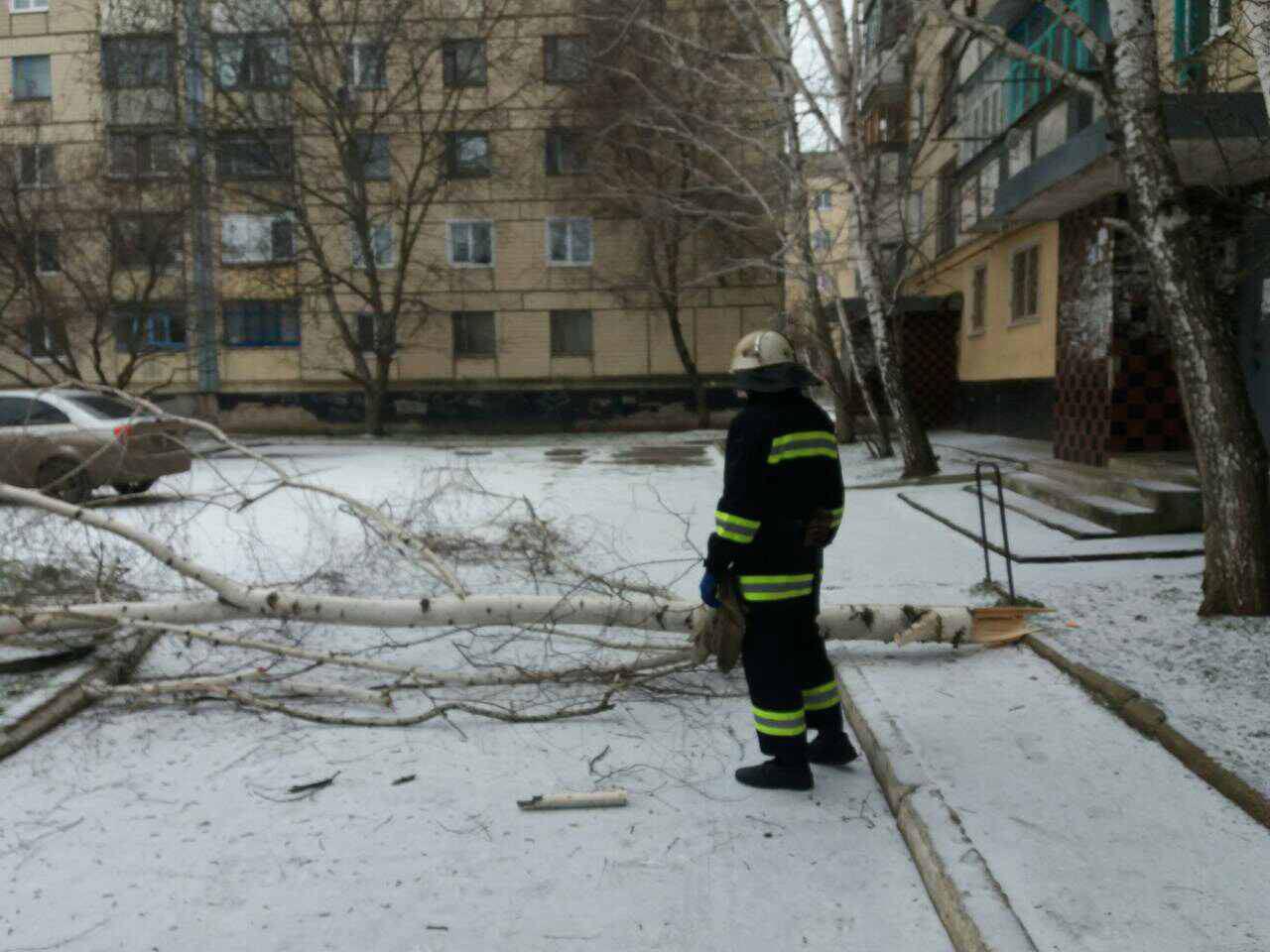 вследствие непогоды дерево рухнуло на проезжую часть - изображение 1 вследствие непогоды дерево рухнуло на проезжую часть - изображение 1