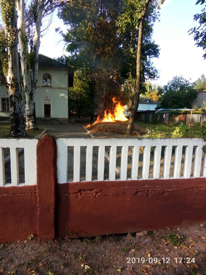 «дерево, мне тебя жалко»: в соцсетях появилось видео пожара на территории горбольницы (видео) - изображение 3