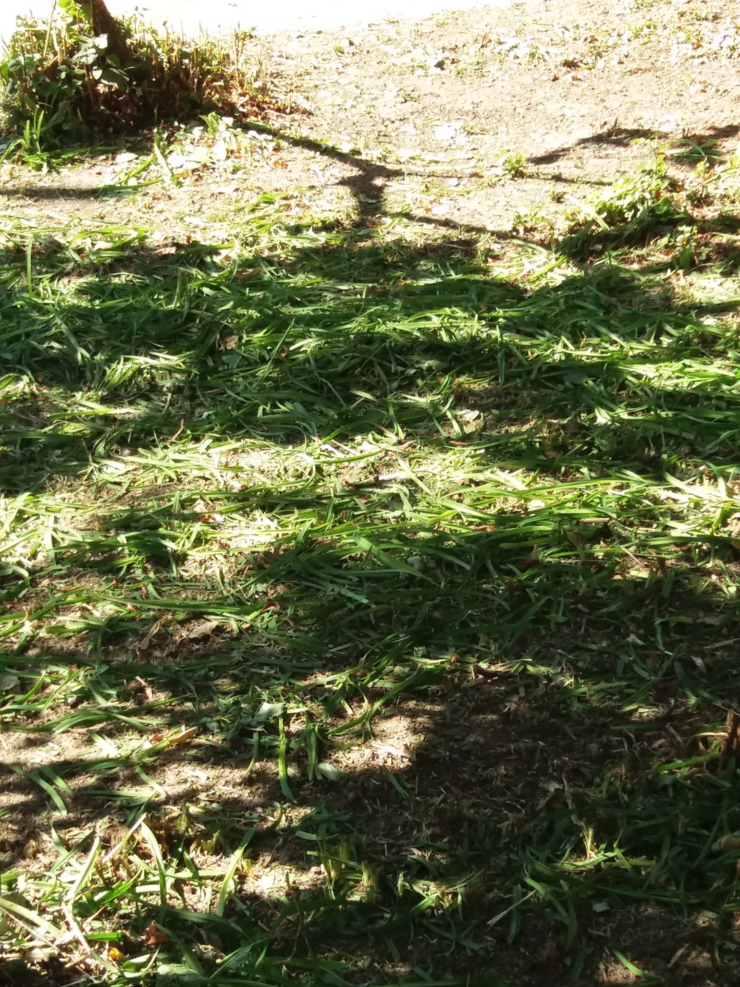 вредительство или «и так сойдет»?! - изображение 1