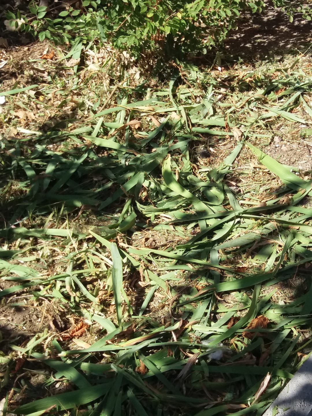 вредительство или «и так сойдет»?! - изображение 2