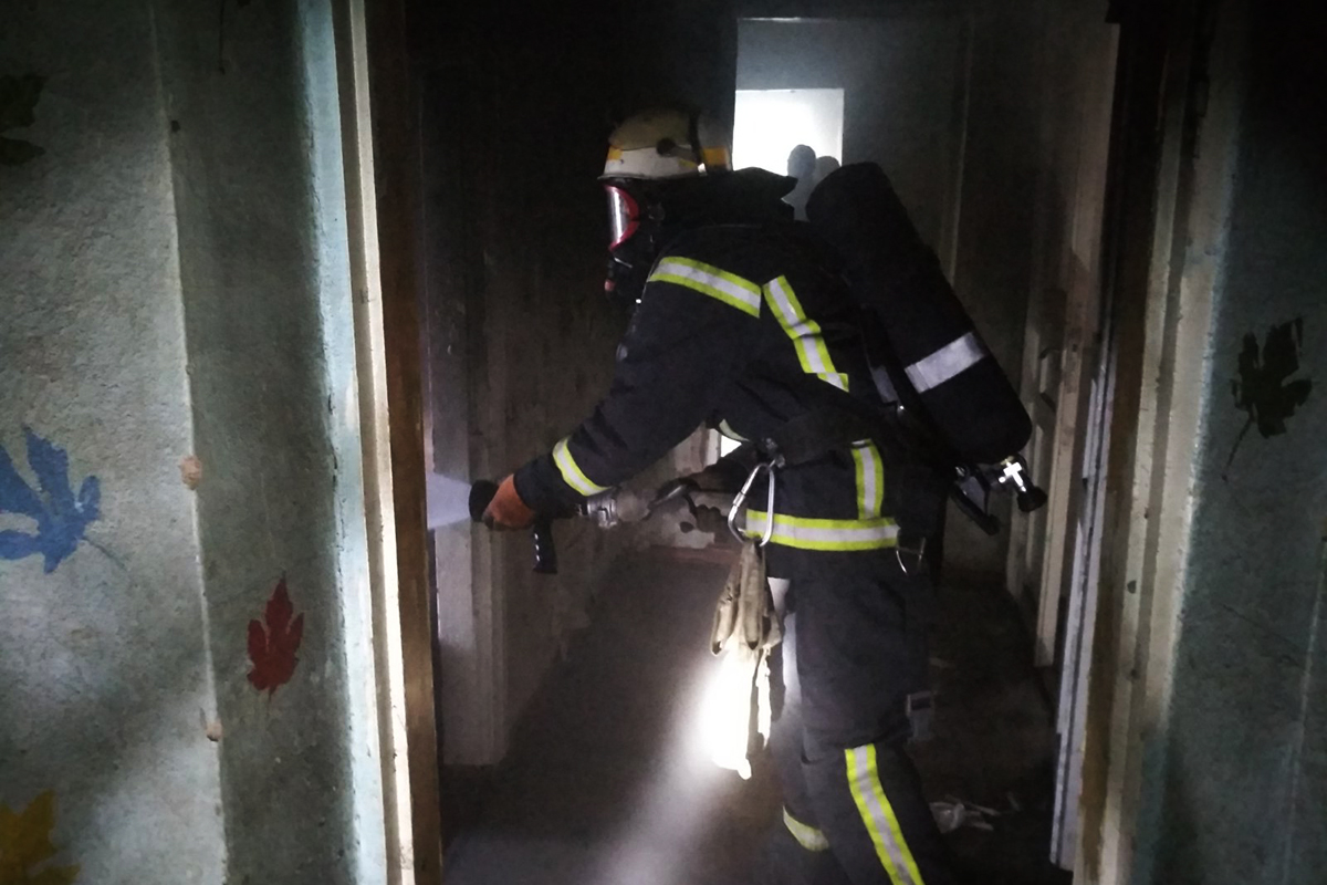 м. покров: внаслідок пожежі загинуло близько 30 курчат - зображення 1