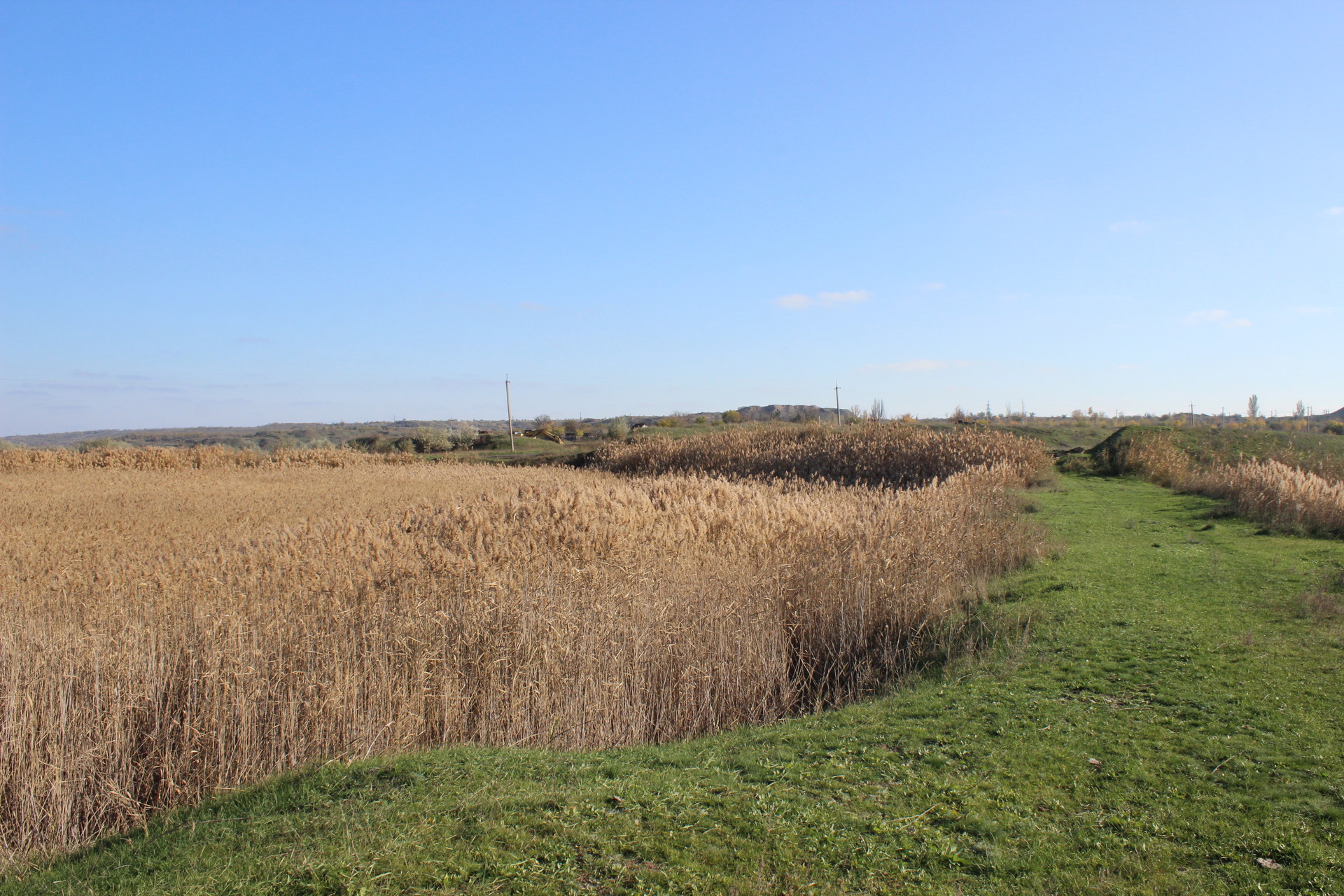 на берегах базавлука и соленой запрещено отдыхать, рыбачить и охотиться? что известно о заказнике «базавлуцкий» - изображение 7