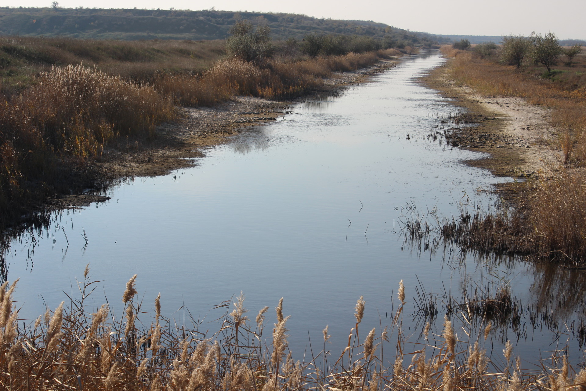 на берегах базавлука и соленой запрещено отдыхать, рыбачить и охотиться? что известно о заказнике «базавлуцкий» - изображение 8