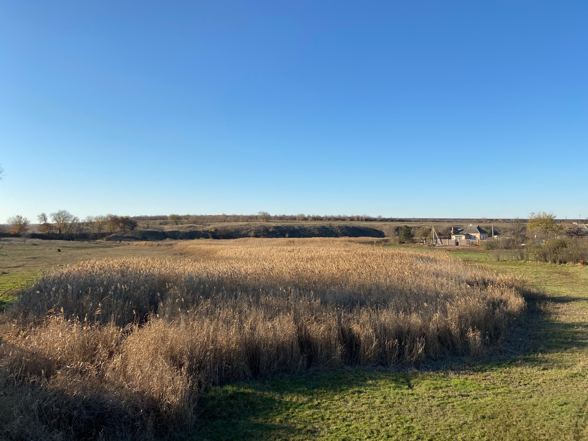 на берегах базавлука и соленой запрещено отдыхать, рыбачить и охотиться? что известно о заказнике «базавлуцкий» - изображение 10