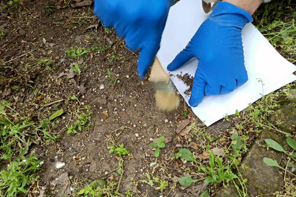 в покрове ликвидировали разлив ртути - изображение 2