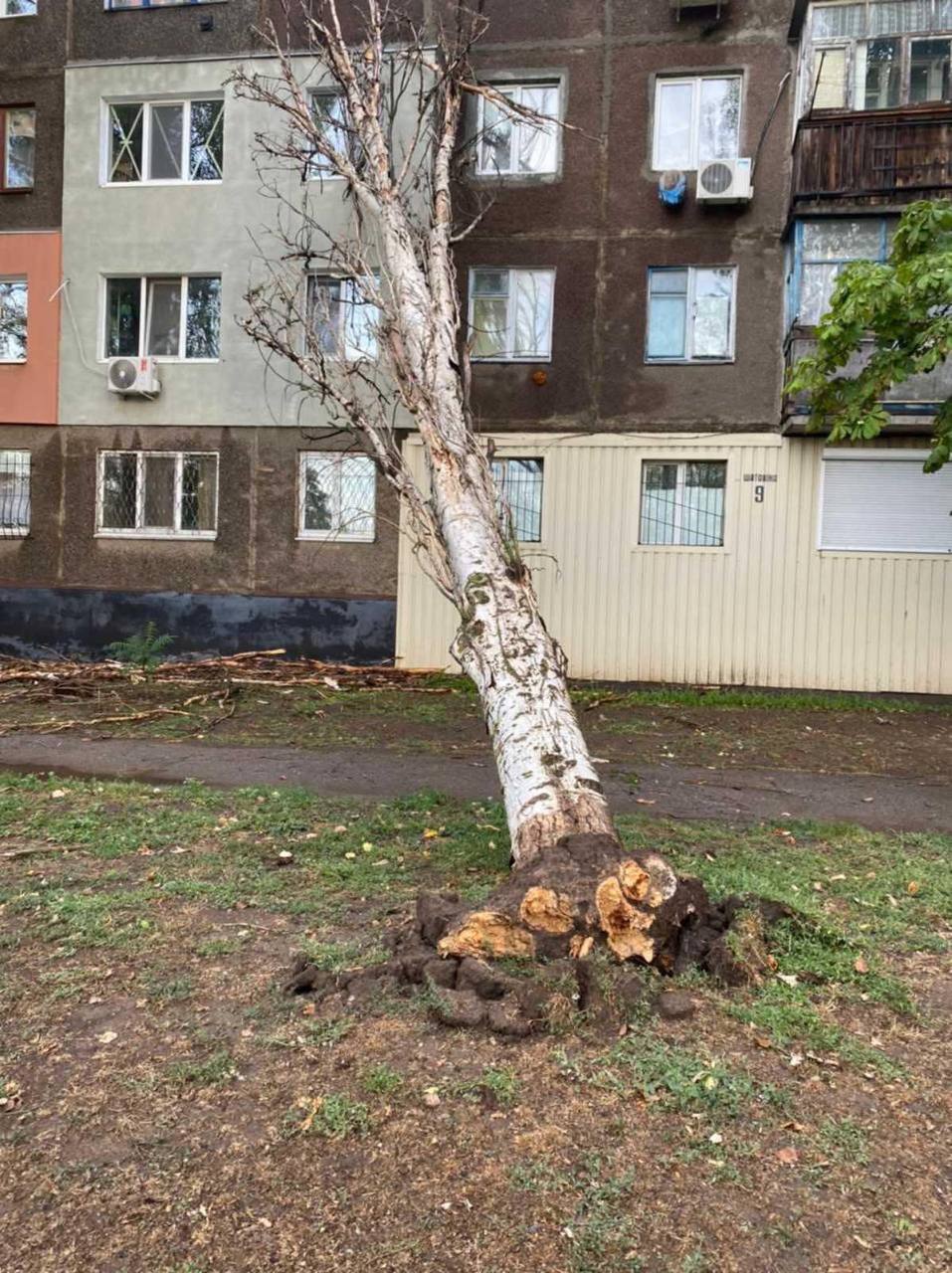 комунальники покрова ліквідували наслідки негоди - изображение 1