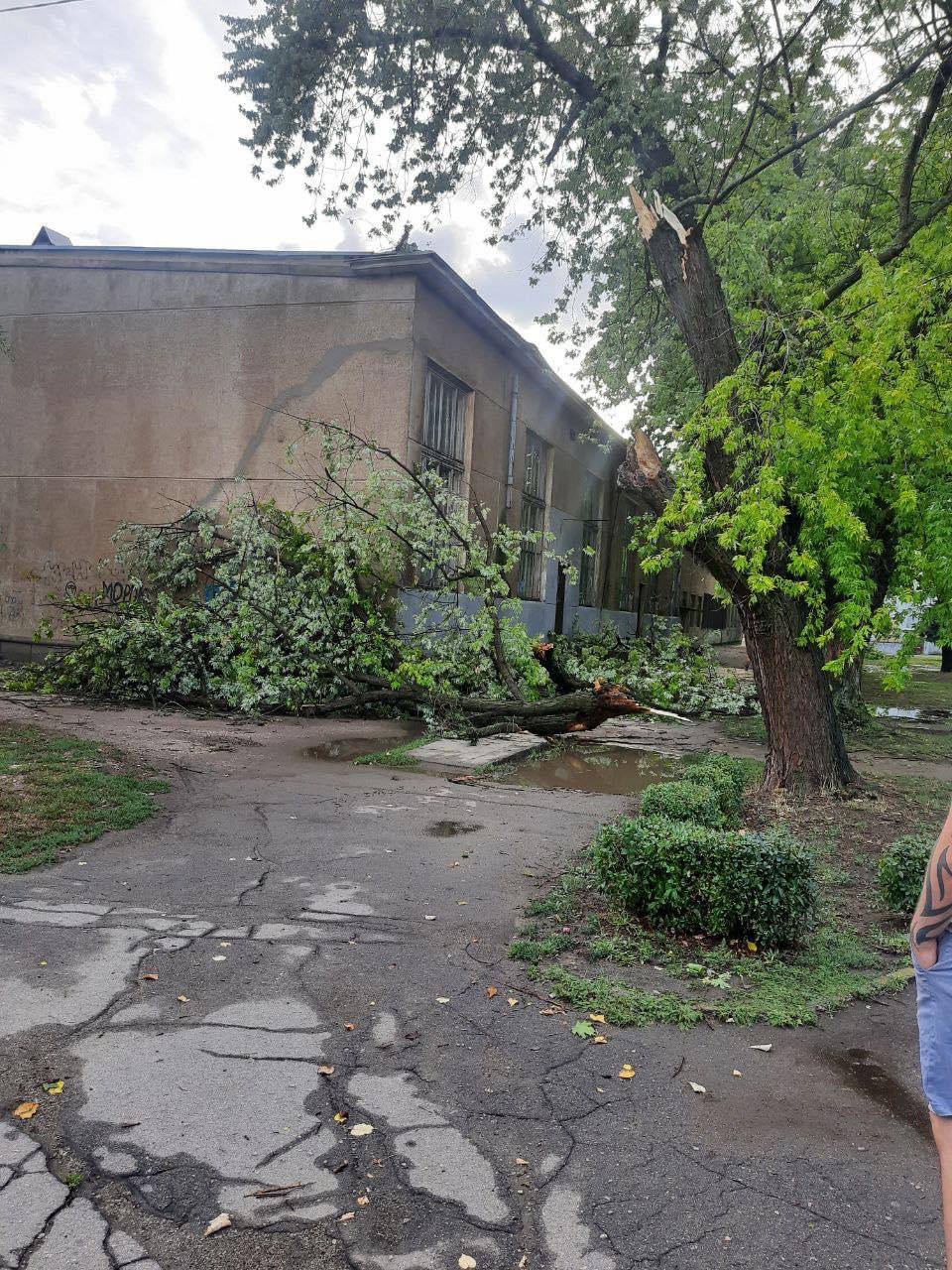 комунальники покрова ліквідували наслідки негоди - изображение 2
